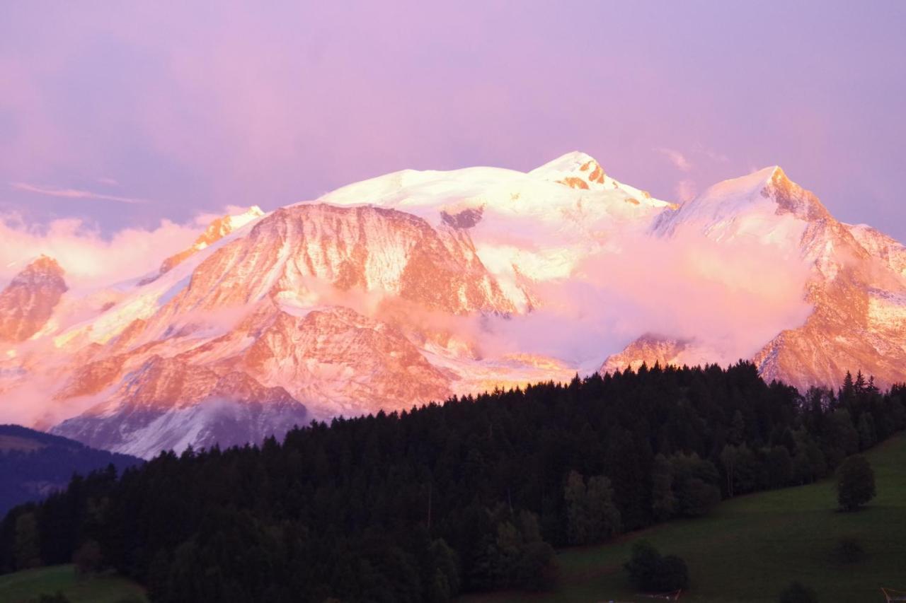 Chalet Le Sabot De Venus Combloux Bagian luar foto