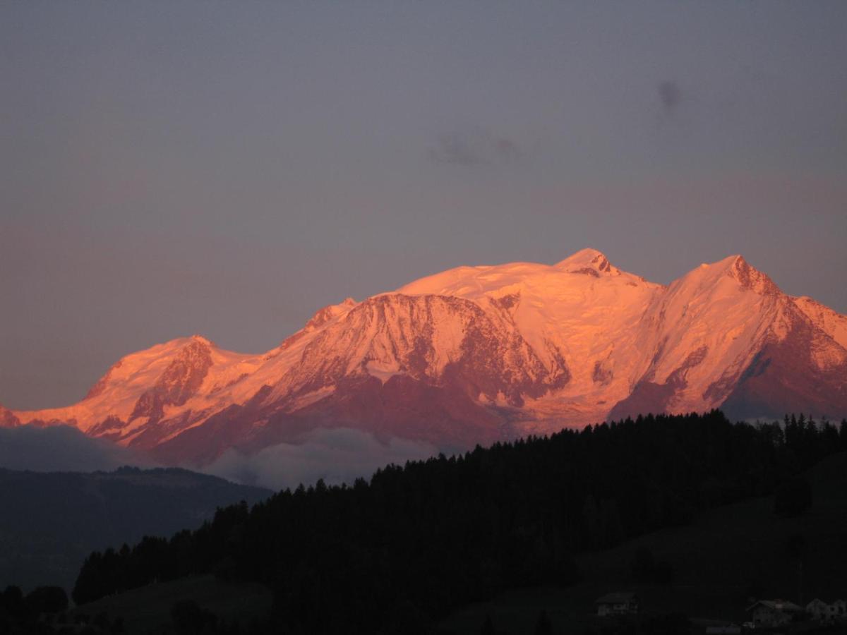 Chalet Le Sabot De Venus Combloux Bagian luar foto