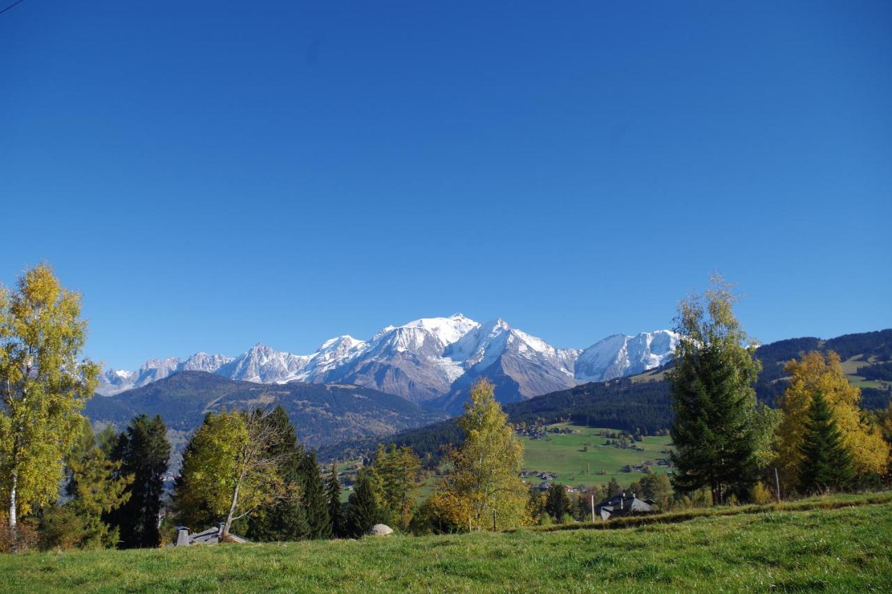 Chalet Le Sabot De Venus Combloux Bagian luar foto